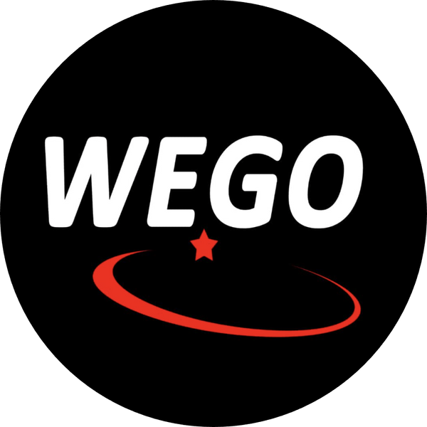 WEGO TRONICS
